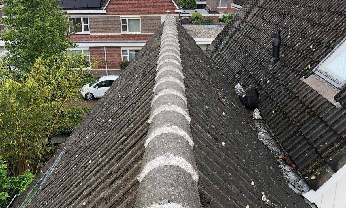 Nokvorsten Barneveld